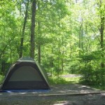 Tent-in-the-woods-300x225.jpg
