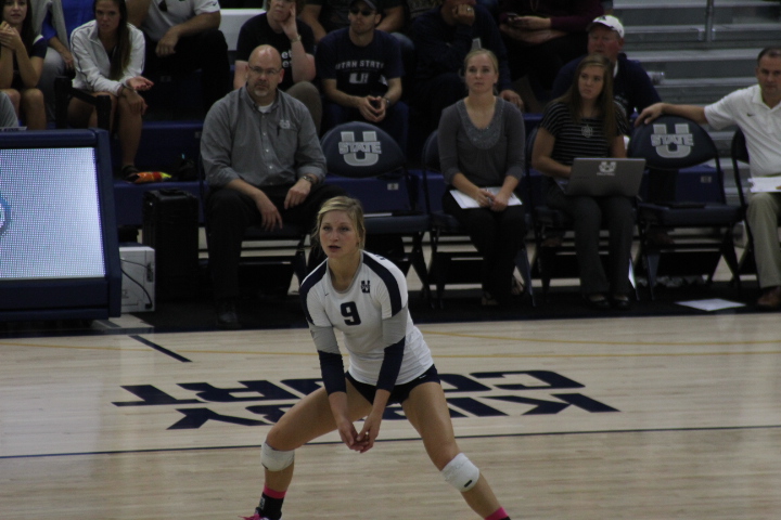 Volleyball continues win streak