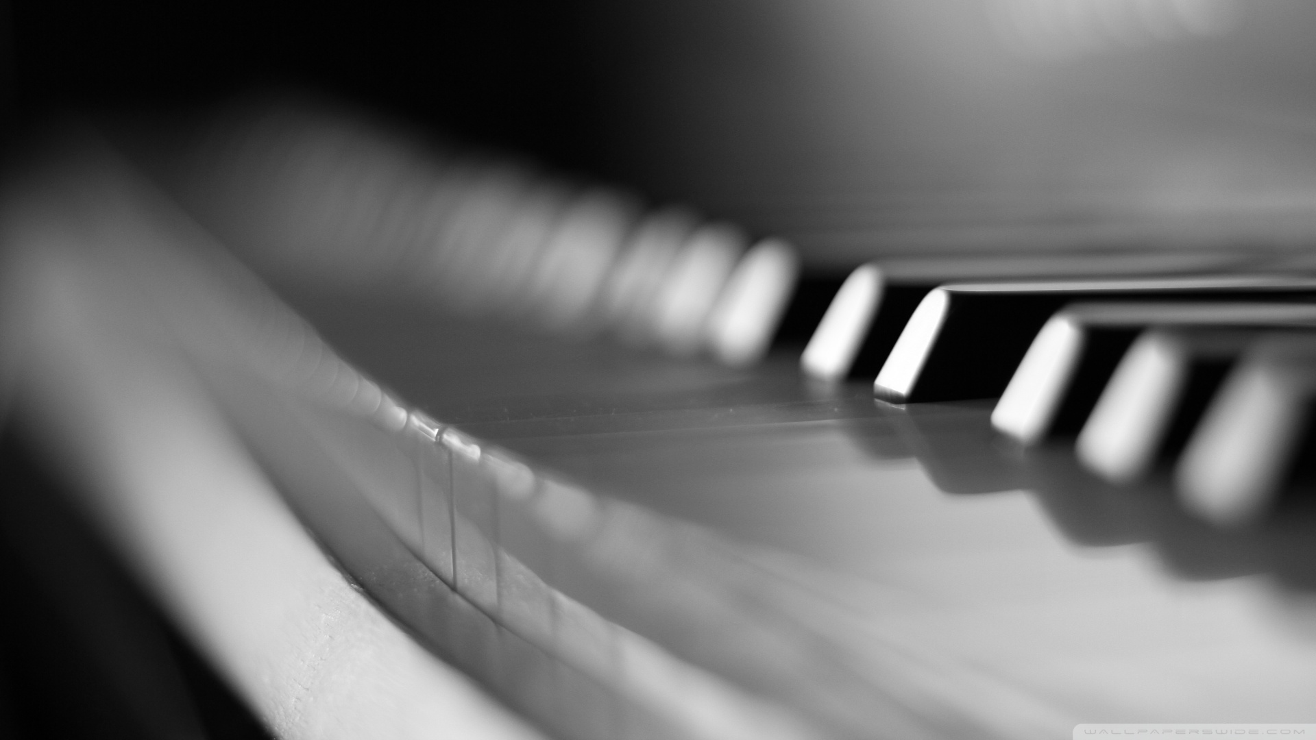 Blisswave: The Concerto