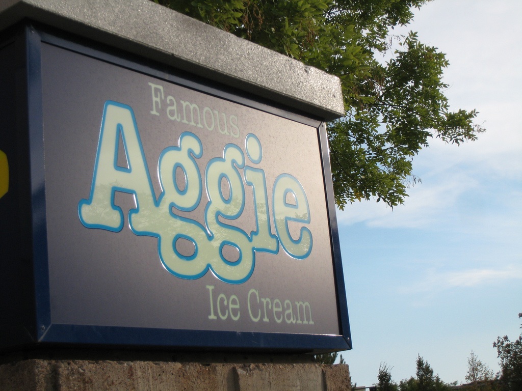 TLN: Freshmen want ice cream more than education