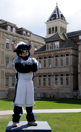 Big Blue actually Old Gray